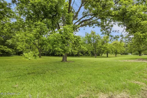 Other - 1918 Old Highway 16, Benton, MS 39039 photo 12 of 20