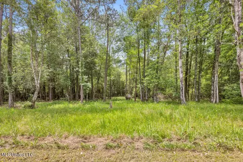 20546 Pullen Rd, Saucier, MS 39574 photo 37