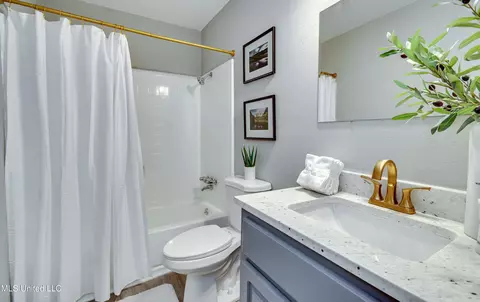 Bath - 148 Thousand Oaks Cir, Jackson, MS 39212 photo 2 of 3