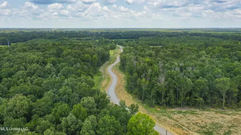 Stout Meadows Lane, Madison, MS 39110 photo 10