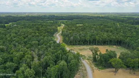 Stout Meadows Lane, Madison, MS 39110 photo 17