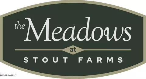 Stout Meadows Lane, Madison, MS 39110