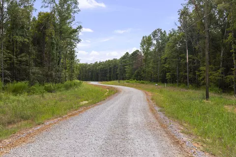 Stout Meadows Lane, Madison, MS 39110 photo 8