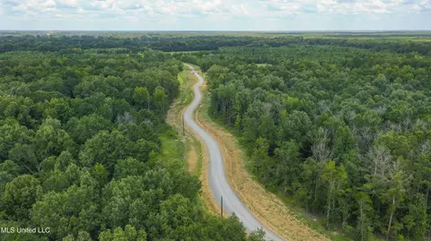Stout Meadows Lane, Madison, MS 39110 photo 15