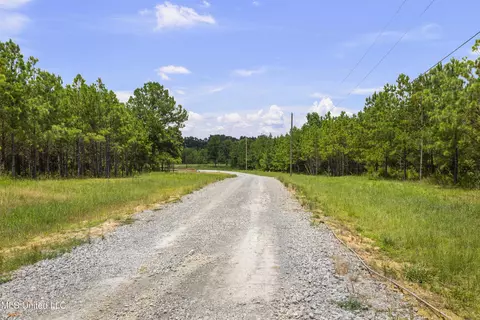 Stout Meadows Lane, Madison, MS 39110 photo 12