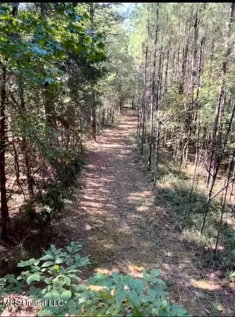 10501 Hwy 501, Forest, MS 39074 photo 24