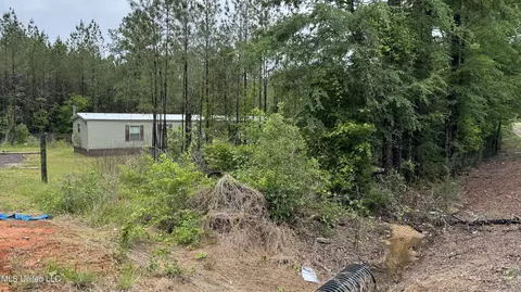 10501 Hwy 501, Forest, MS 39074 photo 2
