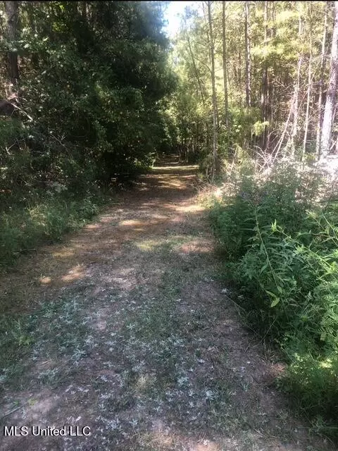 10501 Hwy 501, Forest, MS 39074 photo 26