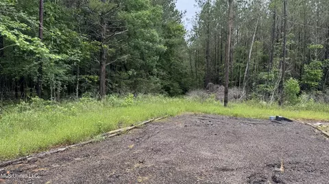 10501 Hwy 501, Forest, MS 39074 photo 3