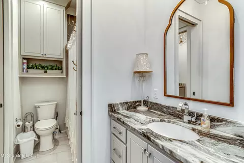 Bath - 102 Silverleaf Dr, Madison, MS 39110 photo 9 of 11