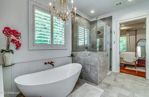 Bath - 102 Silverleaf Dr, Madison, MS 39110 photo 2 of 11
