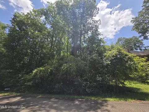 1403 E Lakeshore Dr, Carriere, MS 39426