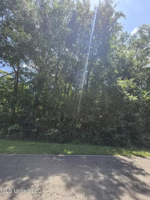 227 E Sunnybrook Rd, Carriere, MS 39426