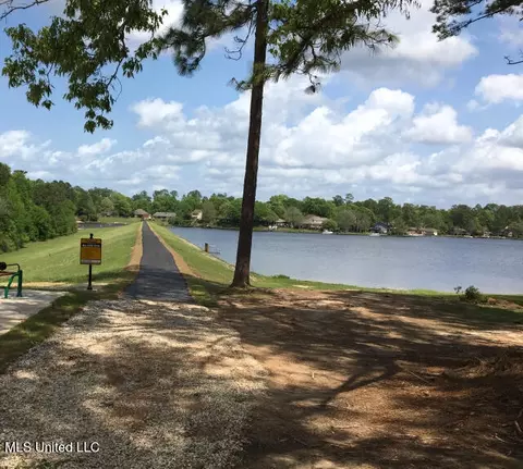 227 E Sunnybrook Rd, Carriere, MS 39426 photo 21
