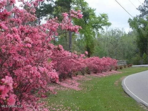 227 E Sunnybrook Rd, Carriere, MS 39426 photo 5