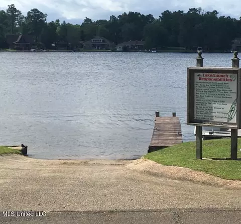 227 E Sunnybrook Rd, Carriere, MS 39426 photo 14