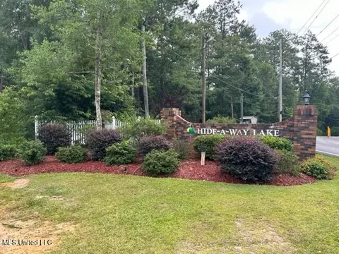 227 E Sunnybrook Rd, Carriere, MS 39426 photo 2