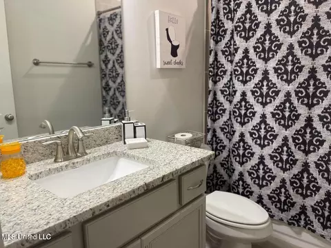 Bath - 7228 Edgewater Dr, Olive Branch, MS 38654 photo 4 of 4