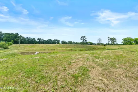 595 Delk Rd, Moselle, MS 39459 photo 42