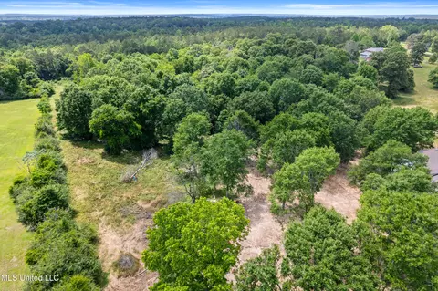 595 Delk Rd, Moselle, MS 39459 photo 39