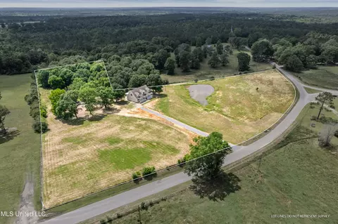 595 Delk Rd, Moselle, MS 39459 photo 43