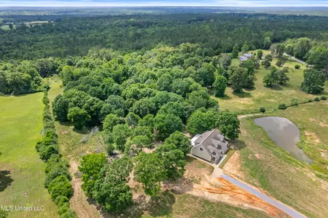 595 Delk Rd, Moselle, MS 39459 photo 45