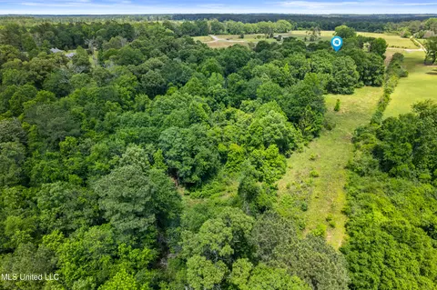 595 Delk Rd, Moselle, MS 39459 photo 41