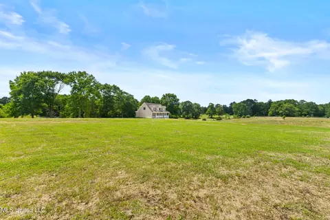 595 Delk Rd, Moselle, MS 39459 photo 47