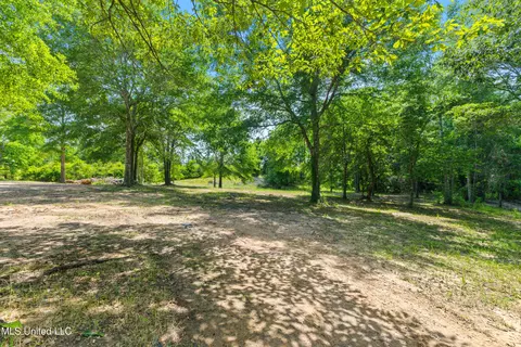 595 Delk Rd, Moselle, MS 39459 photo 38