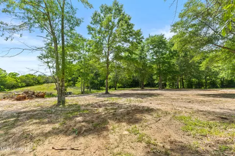 595 Delk Rd, Moselle, MS 39459 photo 40