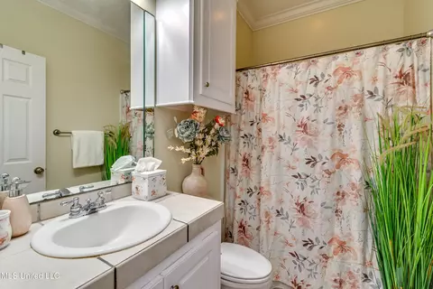 306 Pinecone Cv, Brandon, MS 39047 photo 18
