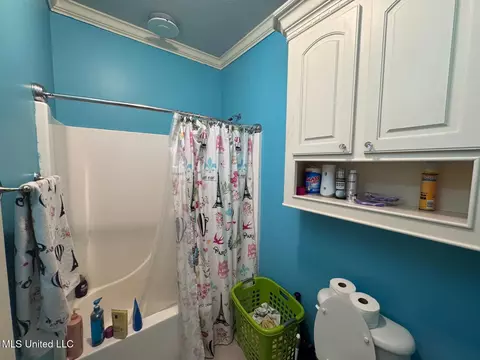 Bath - 730 Henry Byrd Rd, Florence, MS 39073 photo 1 of 4