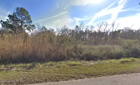01 Riverside Dr, Pearlington, MS 39572