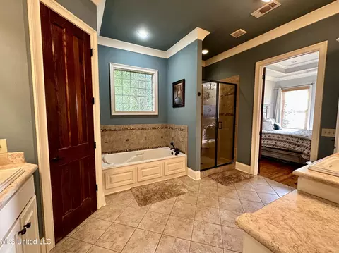 Bath - 121 Vinca Dr, Madison, MS 39110 photo 6 of 7