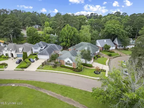 View/Area - 231 Bayview Dr, Madison, MS 39110 photo 4 of 7