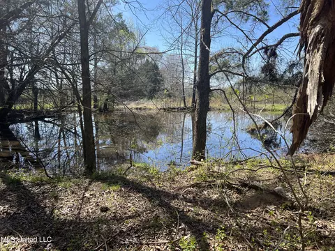 View/Area - 4595 Lucius Taylor Rd, Como, MS 38619 photo 1 of 1