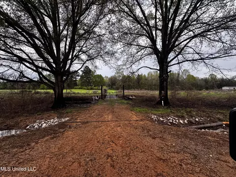 Other - 4595 Lucius Taylor Rd, Como, MS 38619 photo 1 of 9