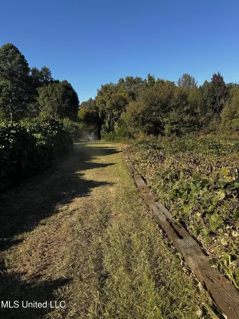 Other - 4595 Lucius Taylor Rd, Como, MS 38619 photo 5 of 9