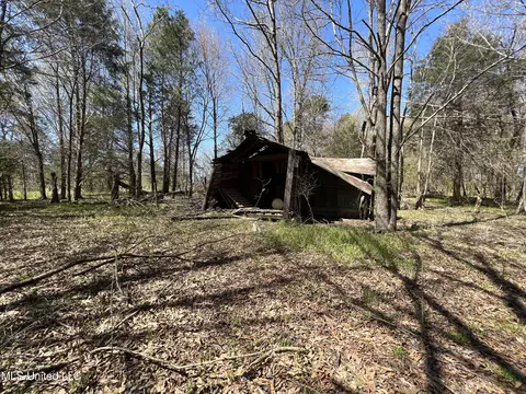 Exterior - 4595 Lucius Taylor Rd, Como, MS 38619 photo 9 of 9