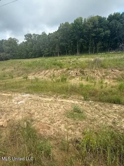 Lauren Lane, Hernando, MS 38632