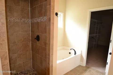 Bath - 1742 Robertson Place Dr, Hernando, MS 38632 photo 3 of 4