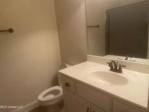 Bath - 1742 Robertson Place Dr, Hernando, MS 38632 photo 4 of 4
