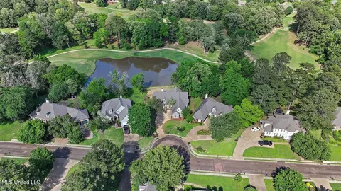 View/Area - 138 Sunflower Rd, Madison, MS 39110 photo 6 of 26