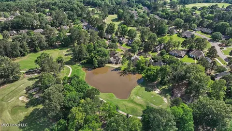 View/Area - 138 Sunflower Rd, Madison, MS 39110 photo 18 of 26
