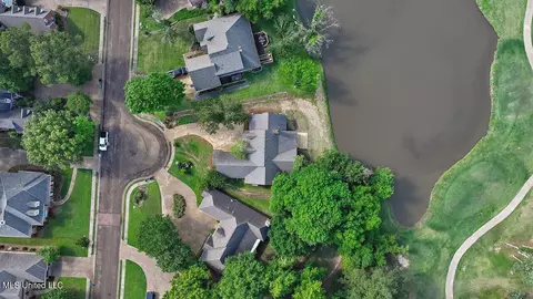 View/Area - 138 Sunflower Rd, Madison, MS 39110 photo 15 of 26