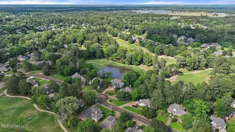 View/Area - 138 Sunflower Rd, Madison, MS 39110 photo 13 of 26