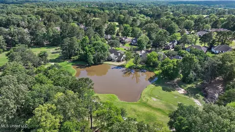 View/Area - 138 Sunflower Rd, Madison, MS 39110 photo 20 of 26