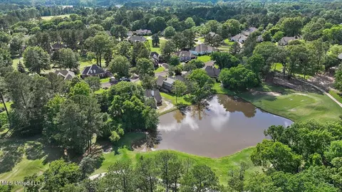 View/Area - 138 Sunflower Rd, Madison, MS 39110 photo 22 of 26