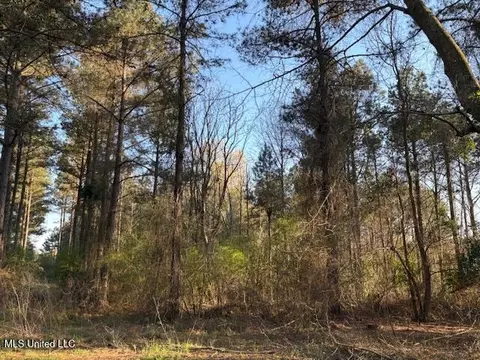 Old Jackson Road, Forest, MS 39074 photo 7