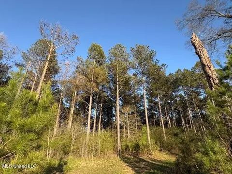 Old Jackson Road, Forest, MS 39074 photo 6